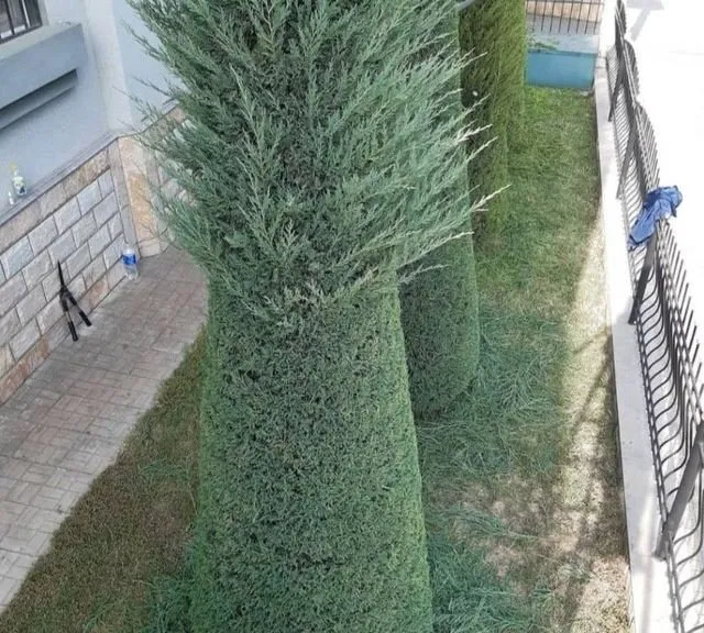 Услуги по ландшафтному дизайну 6