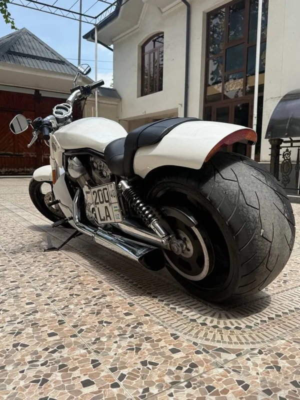 Xarley davidson vrod 2011