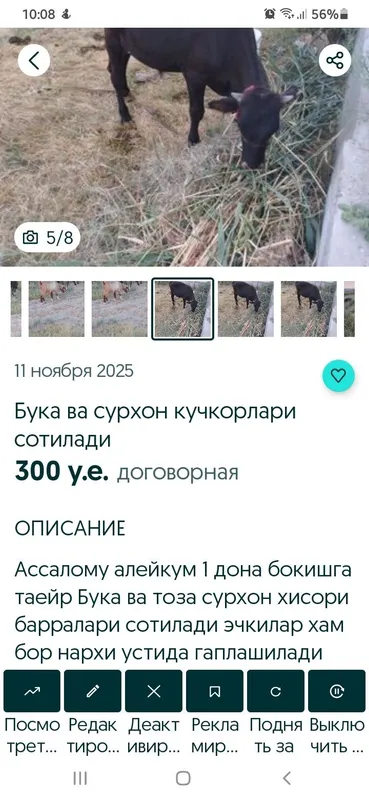 Ассалому алейкум 1 дона Бука сотилади манзил Бухоро — фото 2
