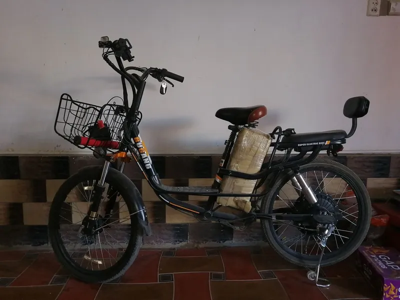 Elektronni veloseped Elektronni veloseped