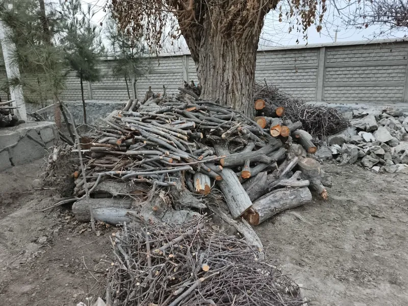 Bir ISUZU yuk moshin o'tin va kunda bor. Narxi 3 mln (bo'lishi shu). — фото 6