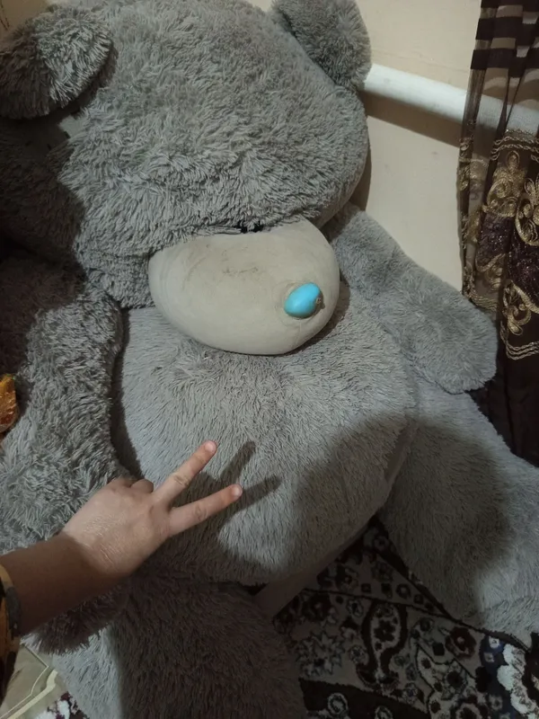 Teddy ayiq 1,5 metrli usti azgina chang bob qogan — фото 1