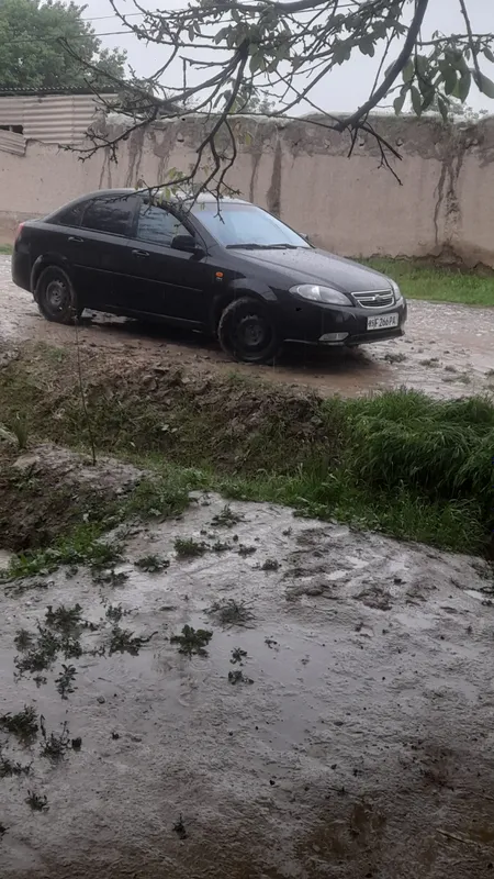 Qora aftomat Gentiro