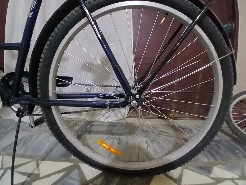 Velosiped "Bonvi" 6