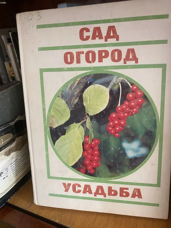 Книги,справочники,сборники,учебники по иностранному и русскому языках — фото 5