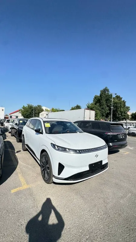 Dong Feng Max Restyling 2026/2026 Dong Feng Max Restyling 2026/2026