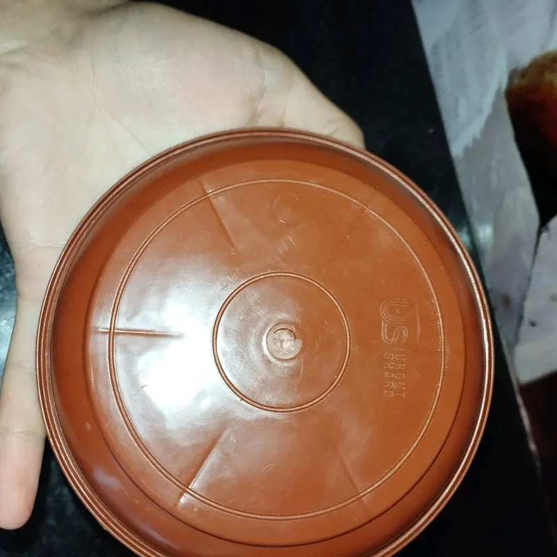 gullarni tagiga qoyishga tarelka