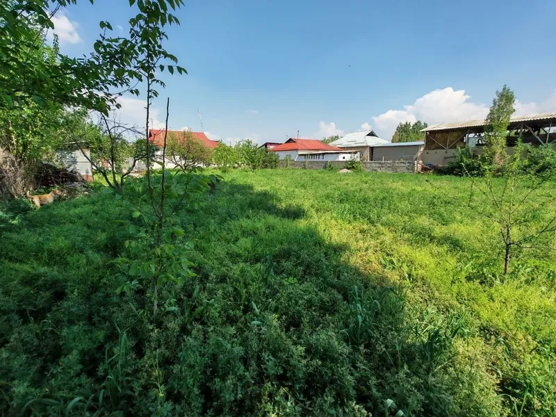 Продаётся дом, большой участок — фото 9