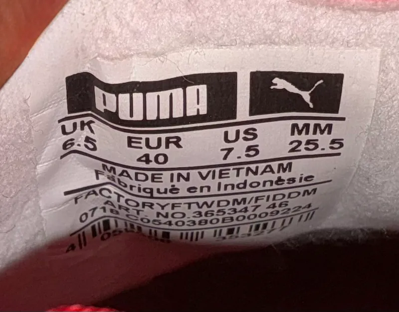 Сороконожка — фото 1