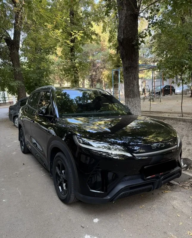 Byd Yuan Up fuLL srochna 1 Byd Yuan Up fuLL srochna 1