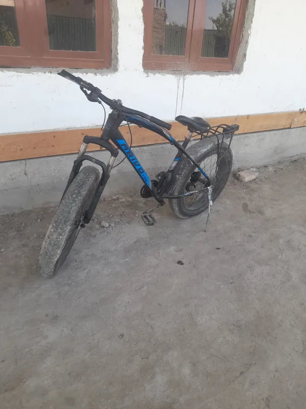 Katta balonli velosiped 2
