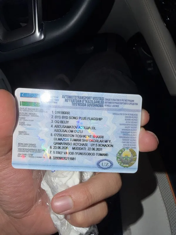 Byd somg plus 2022 9 Byd somg plus 2022 9
