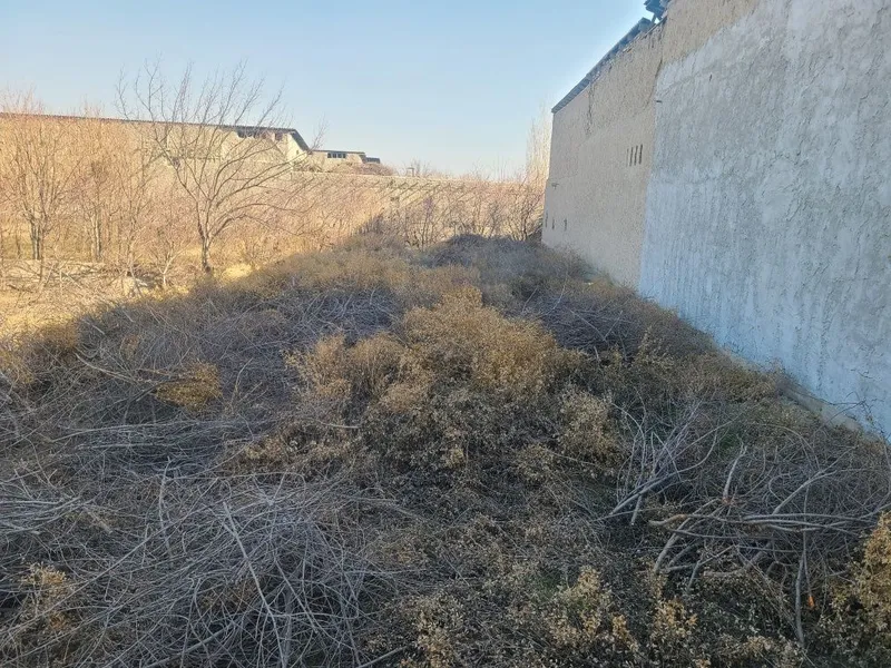 Участка сотилади — фото 6