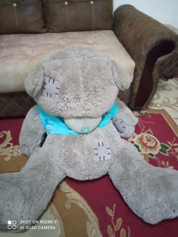 Большой Теди мальчик