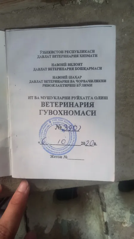 Kuchukcha va onasi yaxshi mehribon insonga beriladi 7