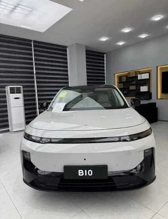 leapmotor b10 vikubga 1