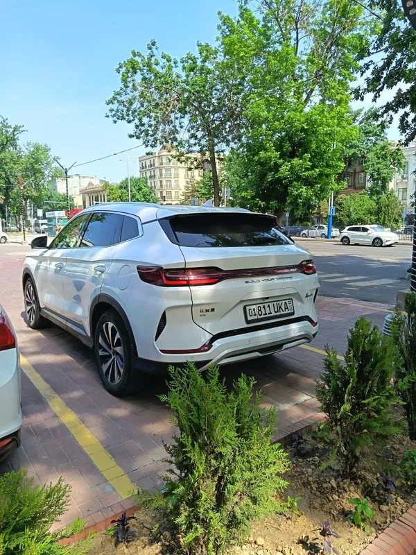 Byd chempion top toza 2023.12 oy berka — фото 2