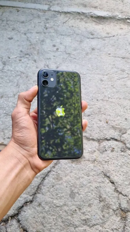 IPhone 11 xolati zur