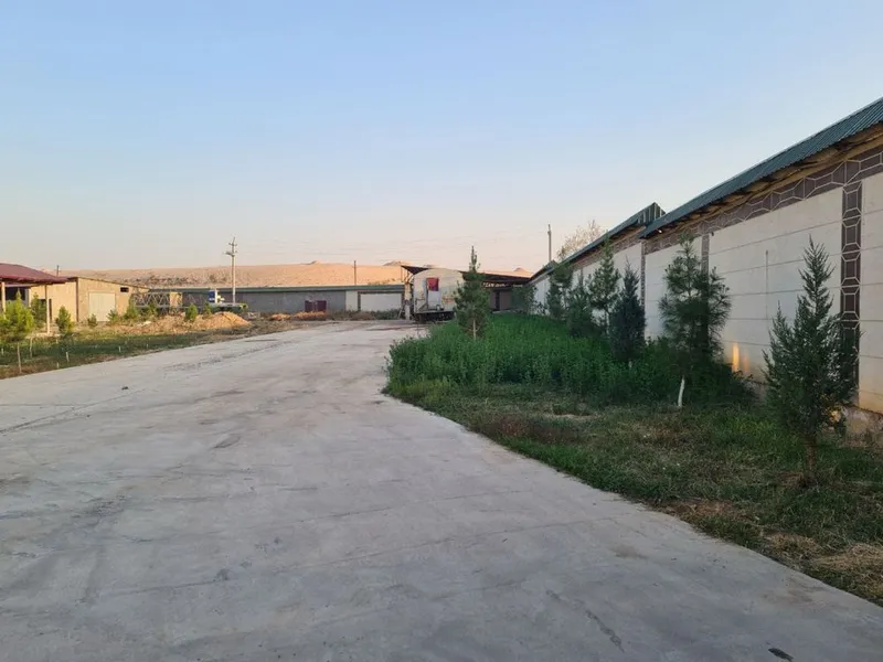 Продается база 1 гектар нурафшон 7 Продается база 1 гектар нурафшон 7