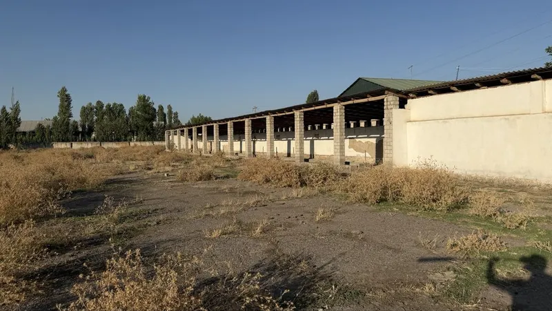117 sotix kadastrli biznes hududi sotiladi | Quyi Chirchiq 7