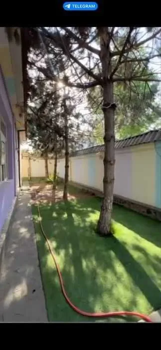 Сдам 554 м² в аренду. Максим Горький. Салом. Саёхат. БИЙ. М. Улугбек! 3 Сдам 554 м² в аренду. Максим Горький. Салом. Саёхат. БИЙ. М. Улугбек! 3