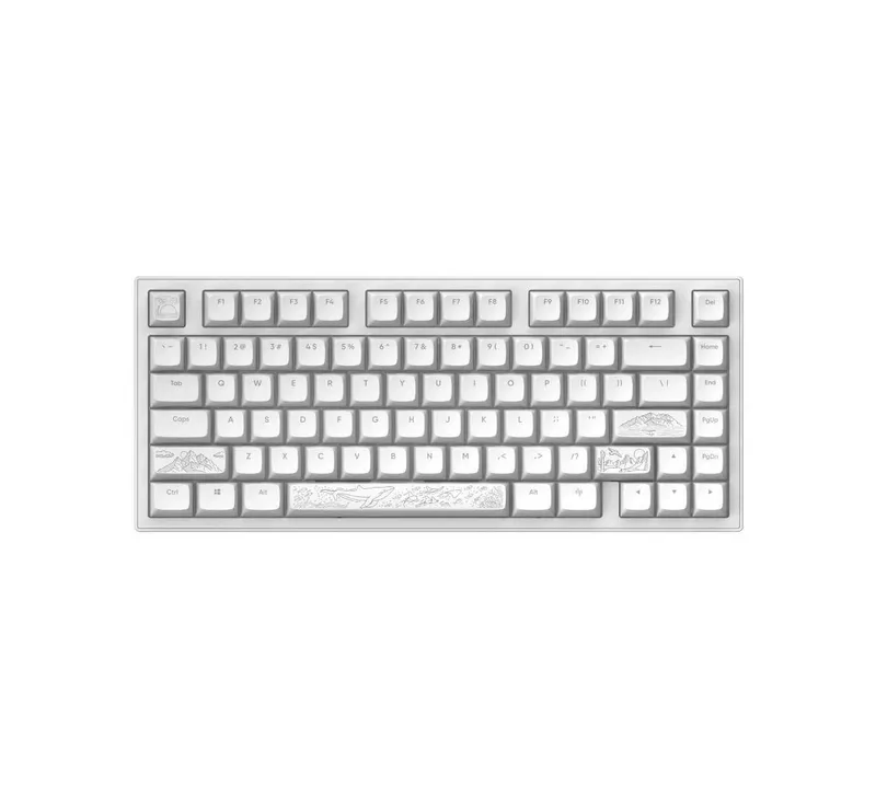 ; Механическая Клавиатура DarkProject ALU81 Terra Nostra White Wired 2