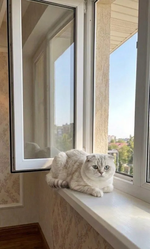 Сотилмайди. Жуфтлаштиришга