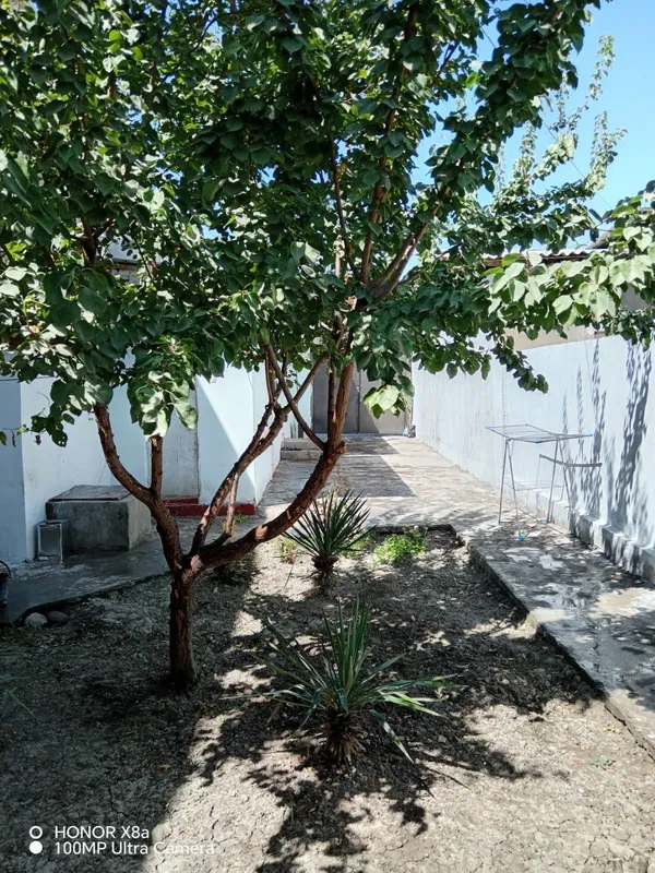 Hovli ijaraga beriladi 1