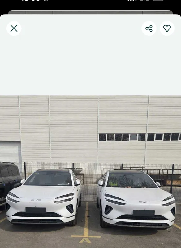 byd sealion variantga