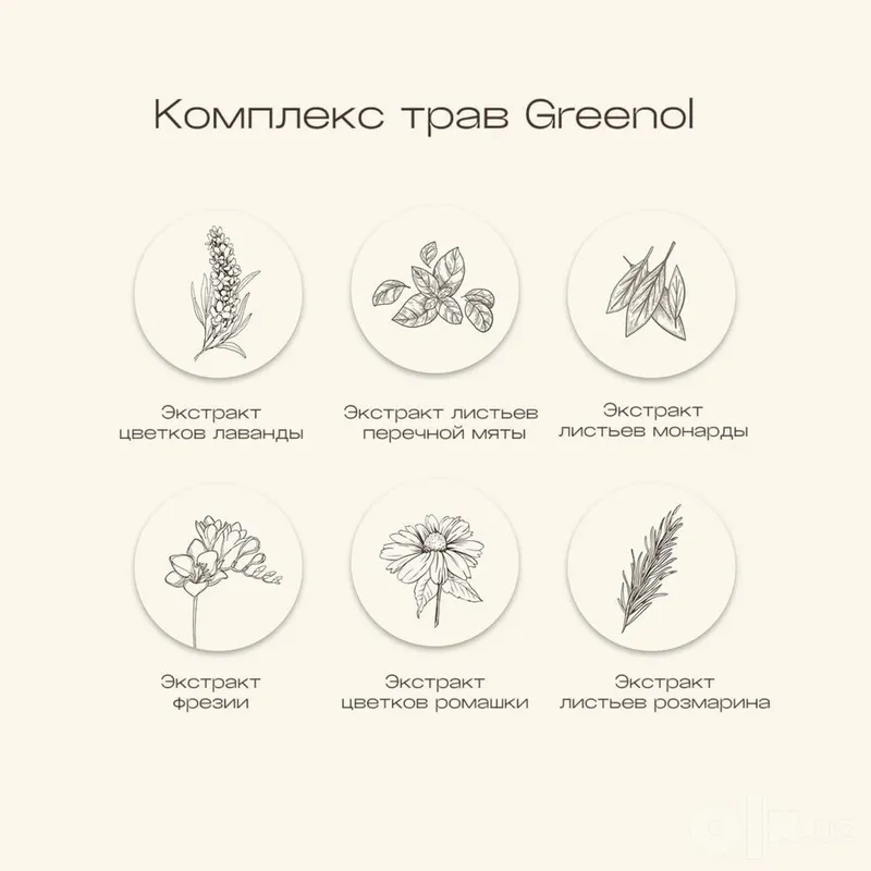 CH6 Greenol Herb Hair Control Treatment. Несмываемая сыворотка-уход 3 CH6 Greenol Herb Hair Control Treatment. Несмываемая сыворотка-уход 3