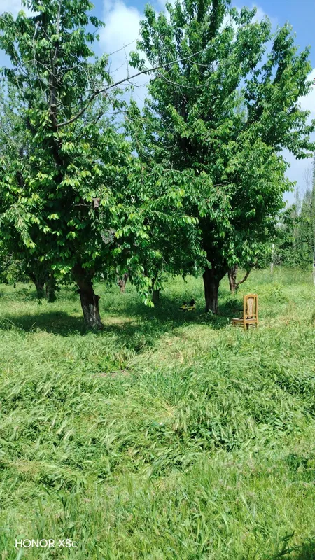 Продаётся дом во дворе в Ташкентской области, Юкори Чирчикском районе 1