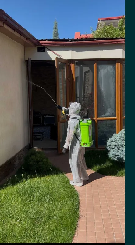 Дезинфекция — тараканы, клопы. Dezinfeksiya klopa tarakan dizenfeksiya — фото 2