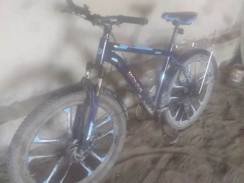 velosiped bonvi 1
