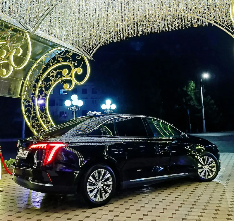 Hongqi eqm5 — фото 1