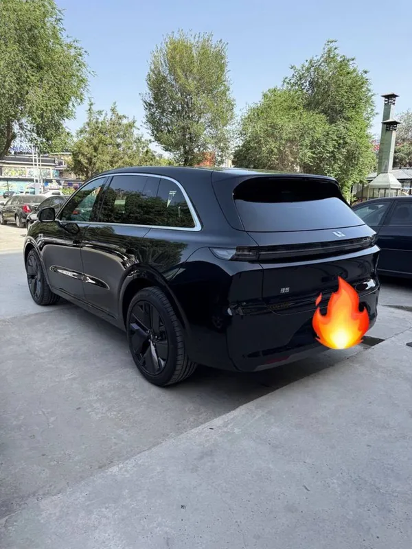 Li6 Max 2025 probeg 9000km