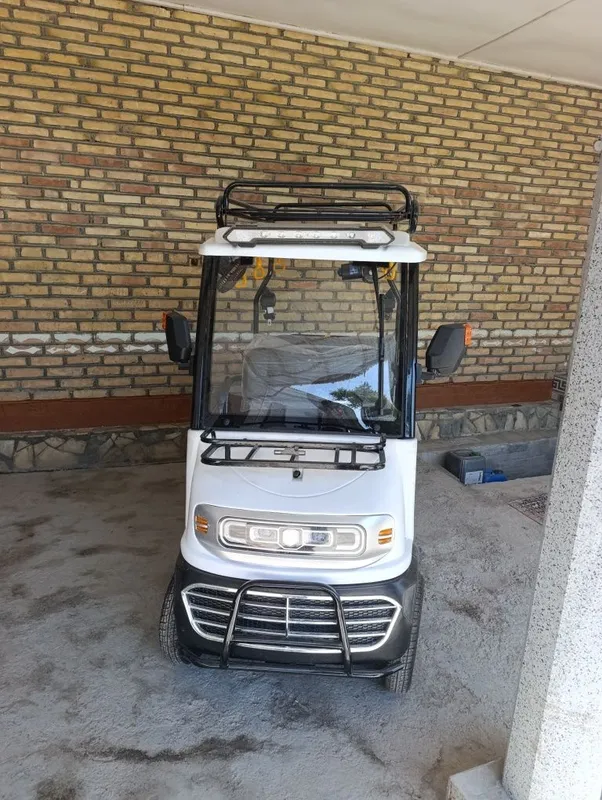 Elektrogolfkar.., — фото 1