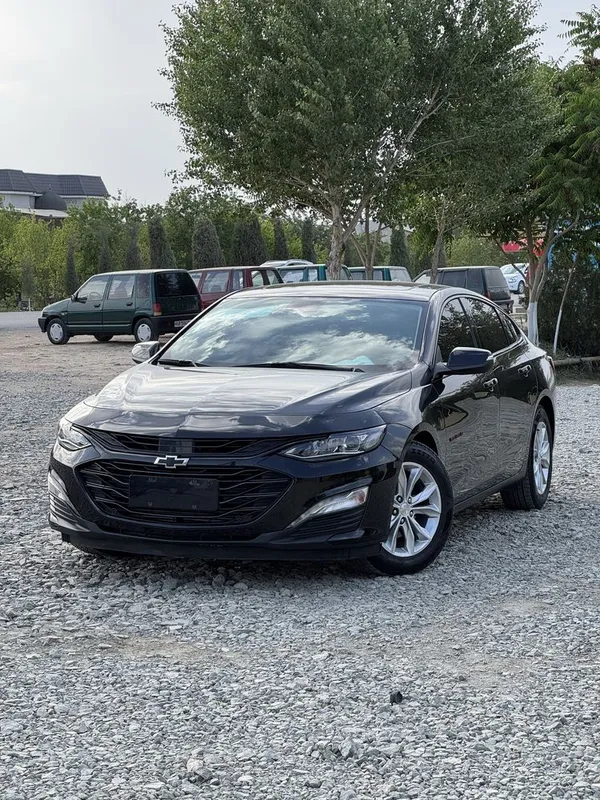 Malibu2 XL 2024