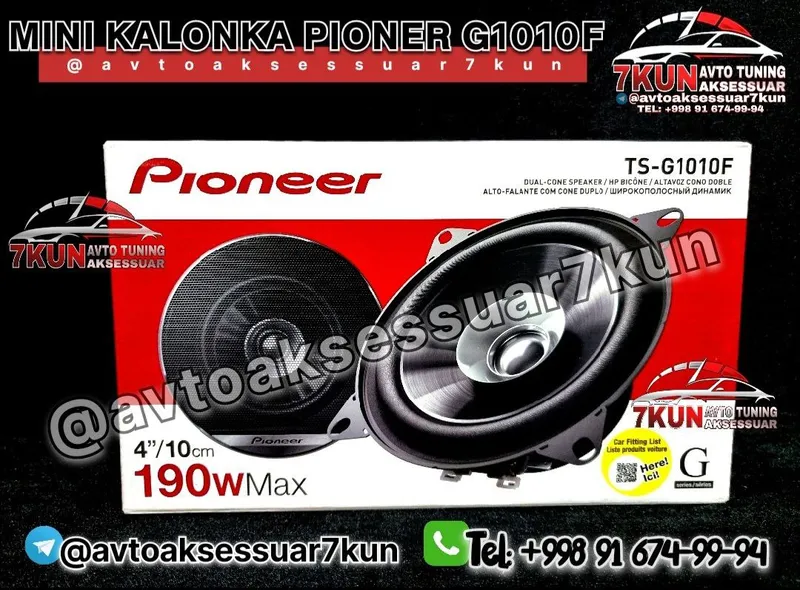 Pioneer TS-G1010F avto audio aparatura — фото 1