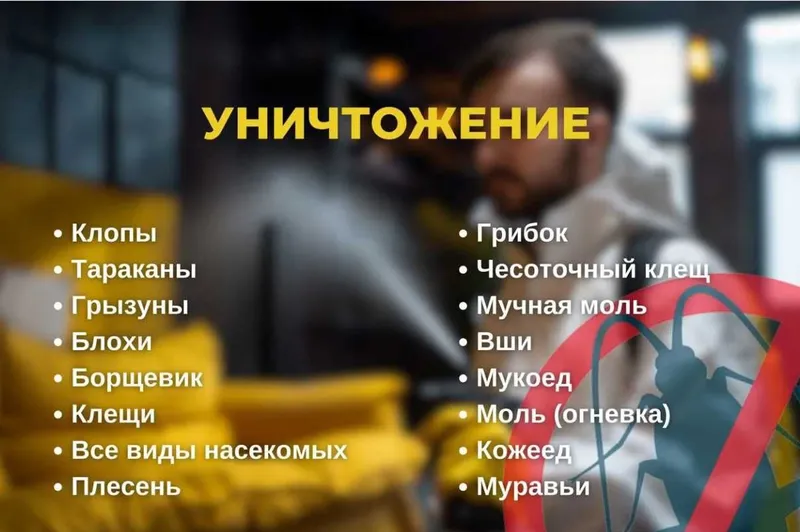 Dezinfeksiya klapa, tarakan | Уничтожение клопов тараканов ос пчел бло