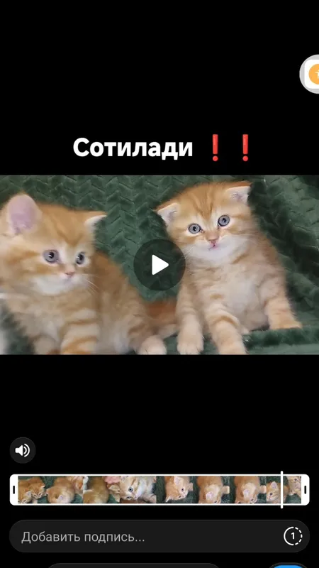 СРОЧНО сотилади 500000