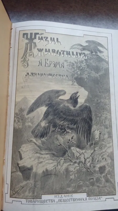 Брэм Жизнь Животных для юношества 1900 год — фото 2