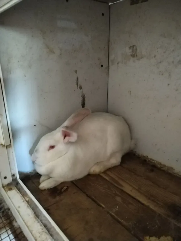 6 ойлик кизбола куйон 2 6 ойлик кизбола куйон 2
