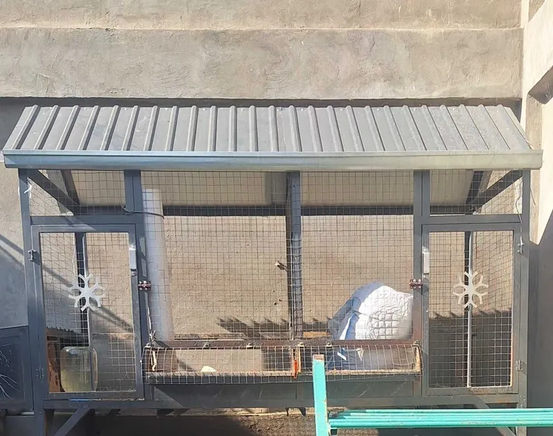 Tovuq katak sotiladi, zamonaviy, g'ildiraklari bor 2