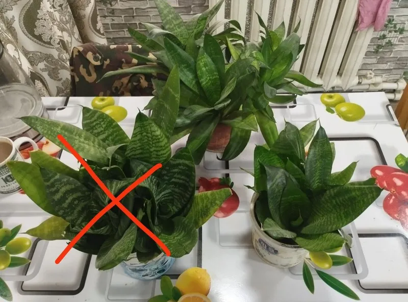 Срочно продам. Цена за всё