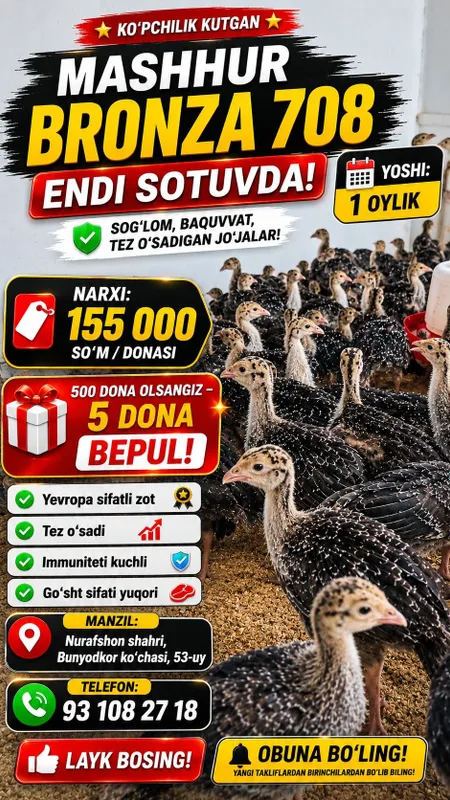 Курка Жужалари Сотувда 30 Кунлиги 2 Курка Жужалари Сотувда 30 Кунлиги 2