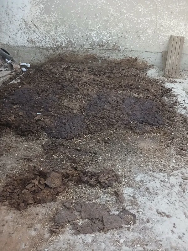 Пору жой бушатишга 1 Пору жой бушатишга 1