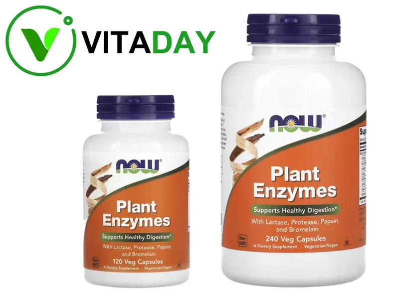 NOW Foods Plant Enzymes растительные ферменты NOW Foods Plant Enzymes растительные ферменты
