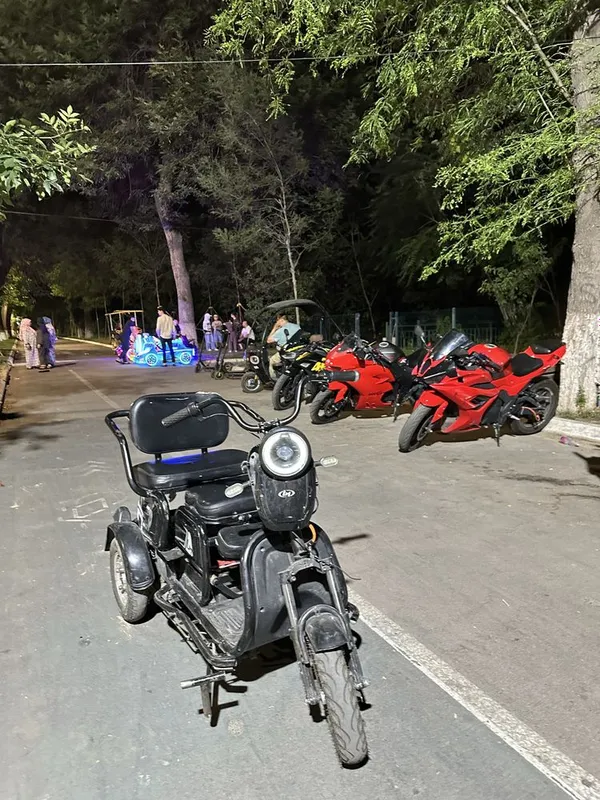3 g‘ildirakli elektr transport vositasi — фото 3