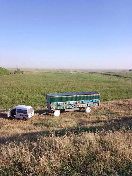 Натуральный свежий СТЕПНОЙ МЕД 3 Натуральный свежий СТЕПНОЙ МЕД 3