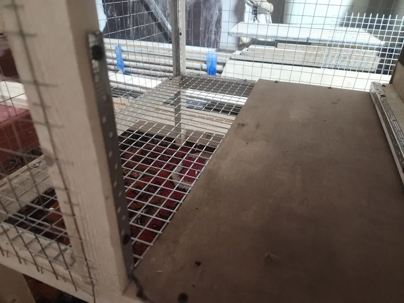 Куен кафаслар сотилади quyon qafas, quyon katak 2 Куен кафаслар сотилади quyon qafas, quyon katak 2